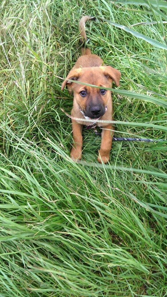 Blanding af racer Kaydee <3 - søde kaydee billede 7