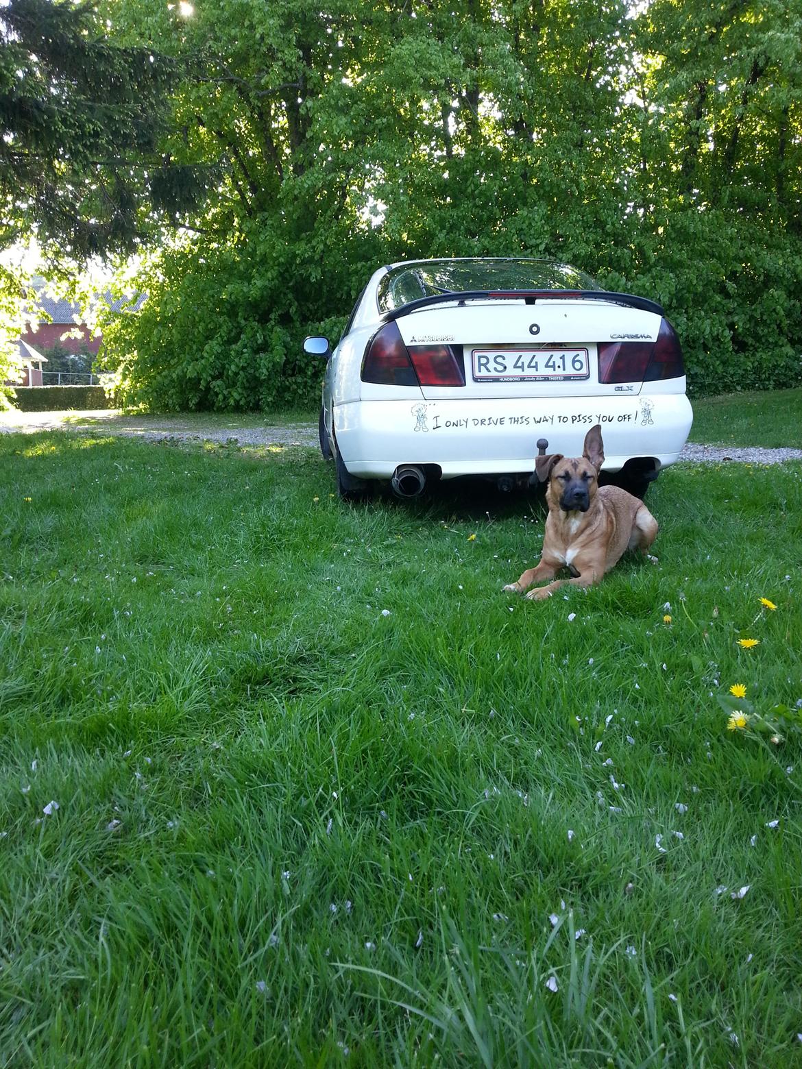 Blanding af racer Angel . - Passer på fars bil! billede 12