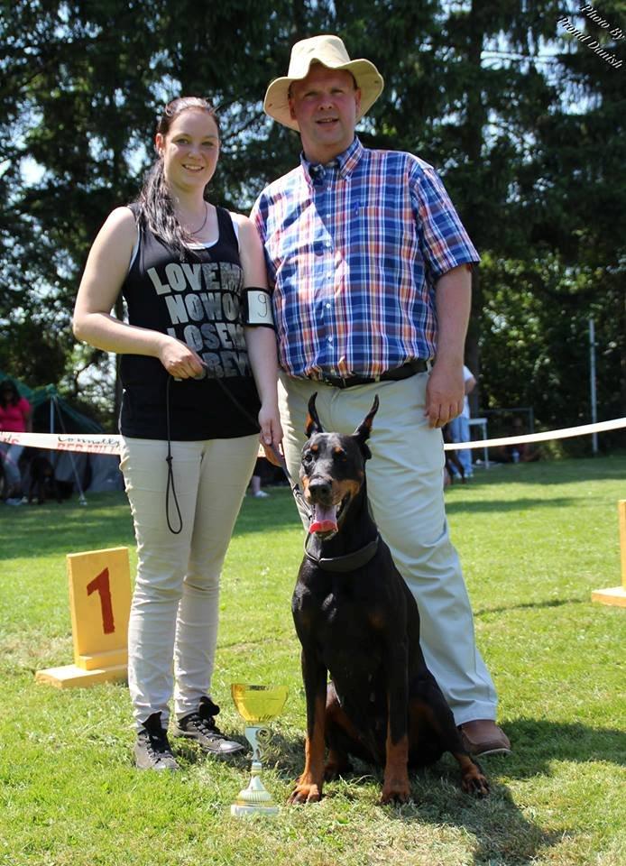 Dobermann Legrant Land Bohema Born - Luxembourg Trophy 2013, billede taget af Kristine W. Genning billede 1