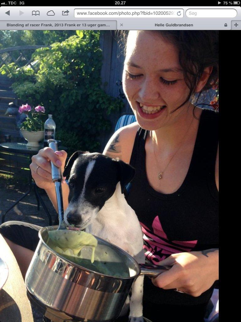 Blanding af racer Frank billede 11