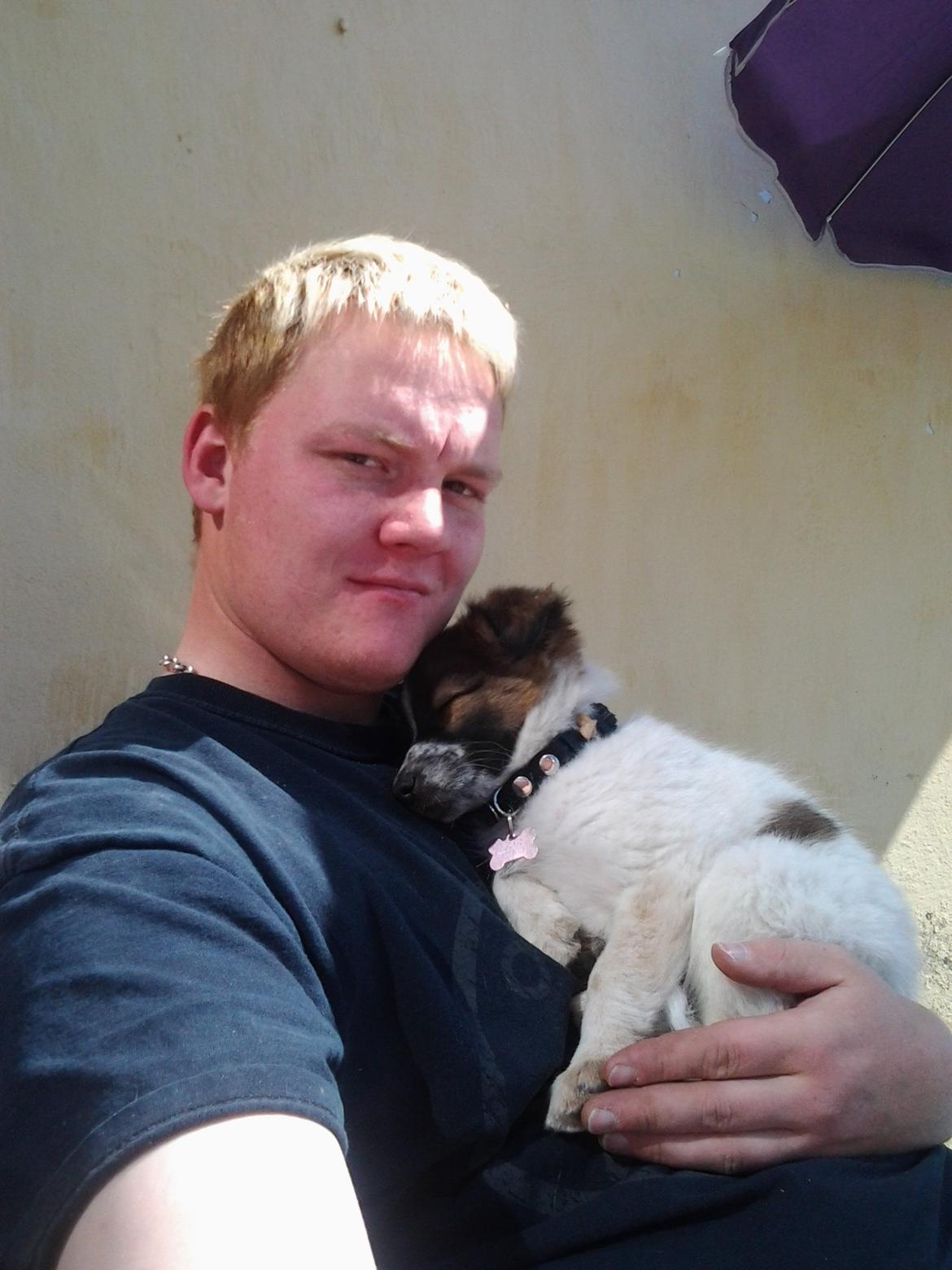 Blanding af racer Ziva billede 2