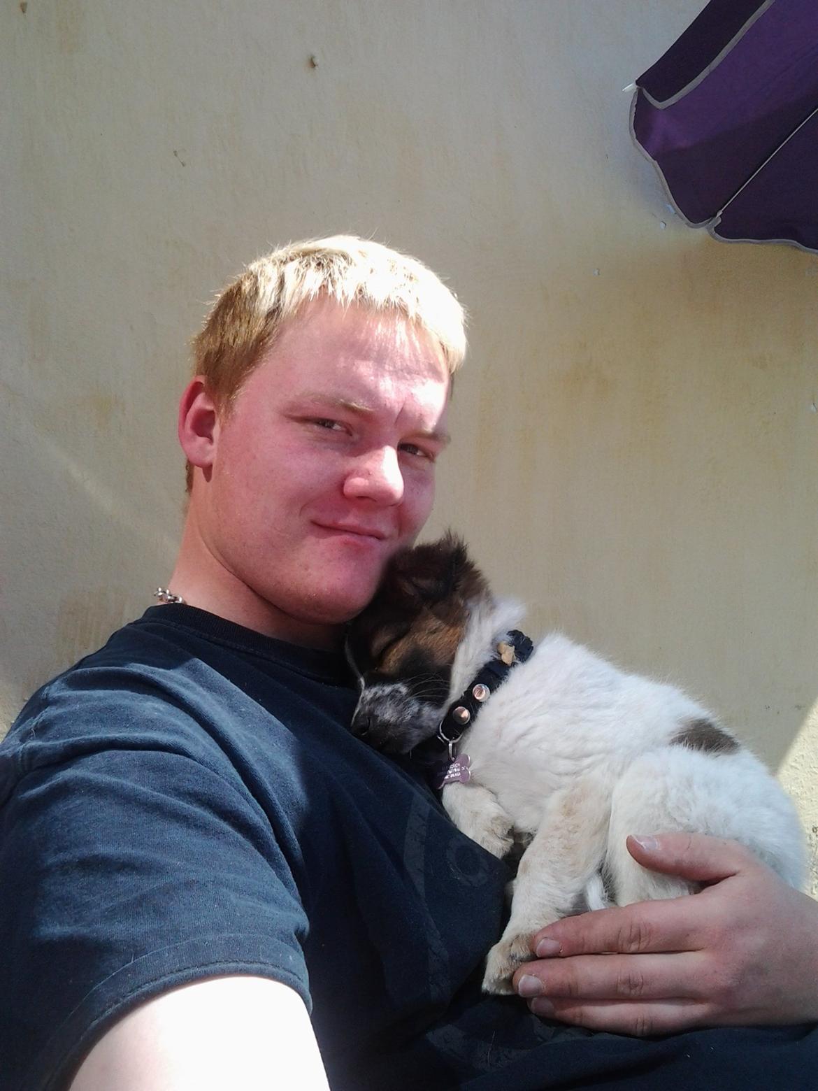 Blanding af racer Ziva billede 3