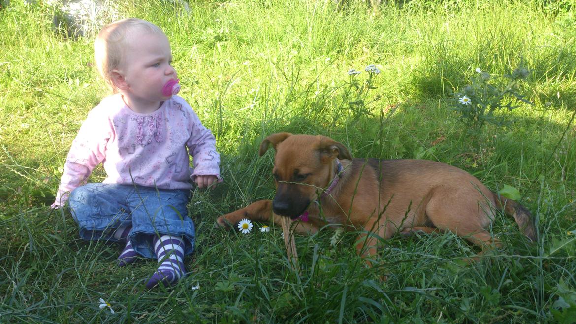 Blanding af racer Kaydee <3 billede 10