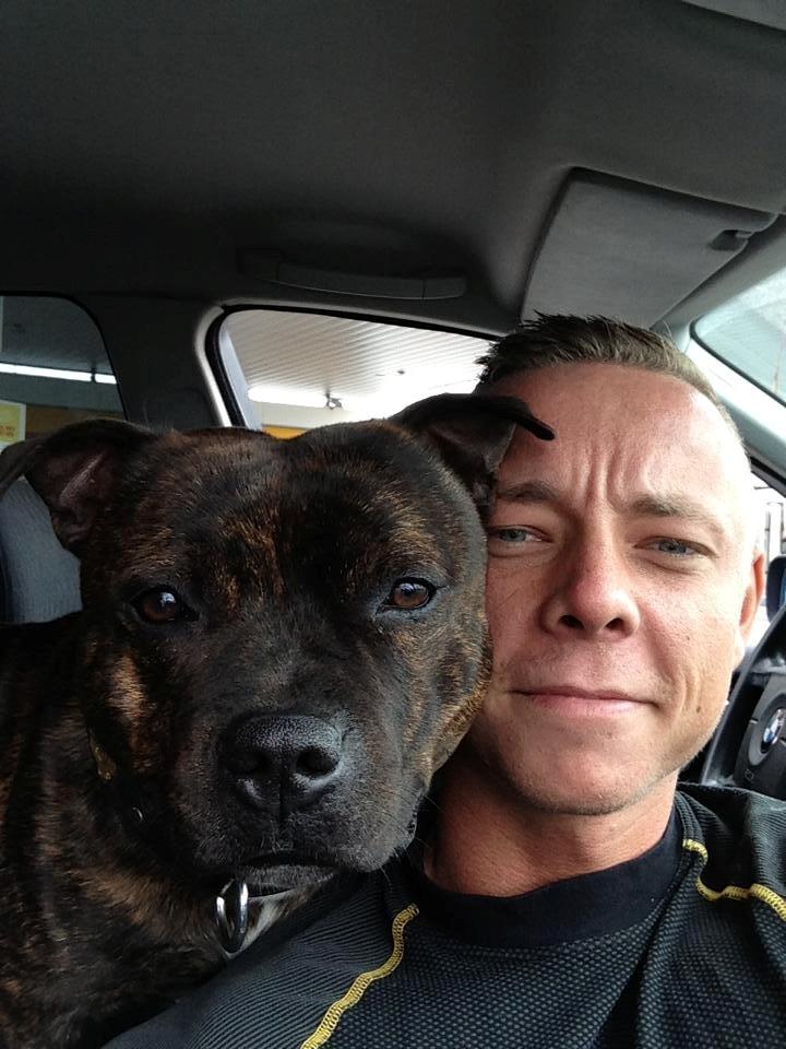 Staffordshire bull terrier Morgan Le Fay Balto/KENZO billede 31