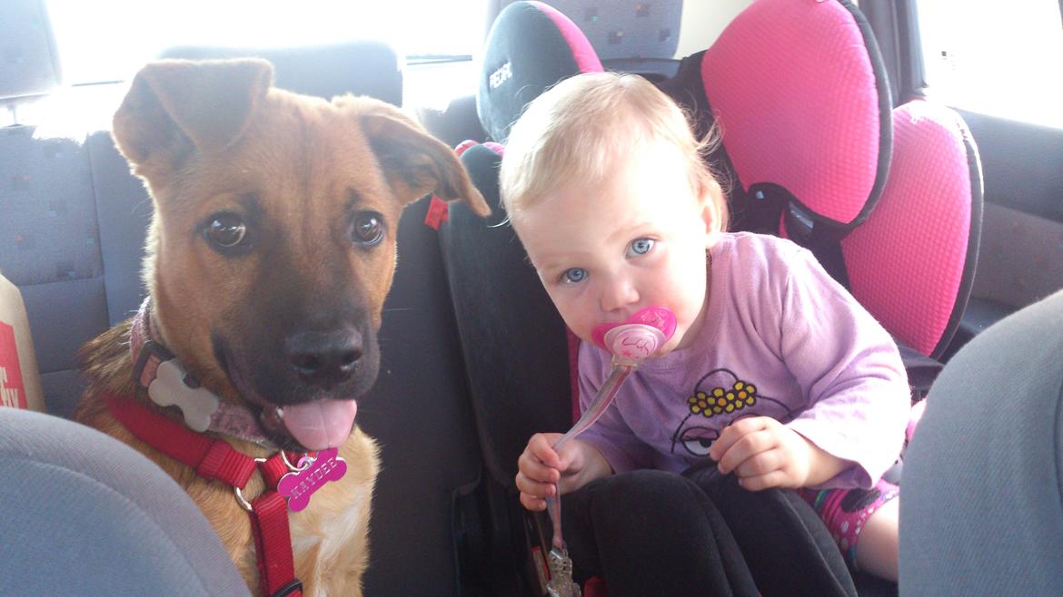 Blanding af racer Kaydee <3 billede 13