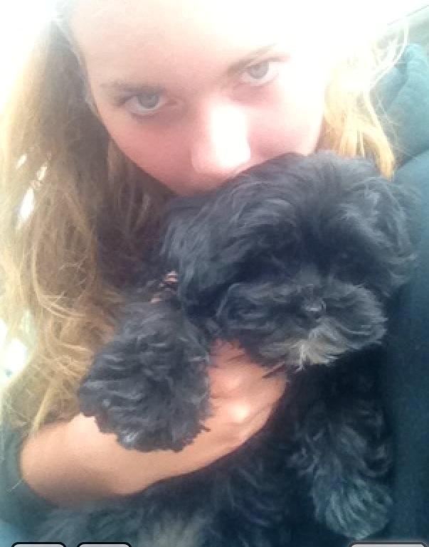 Blanding af racer | Fie billede 2