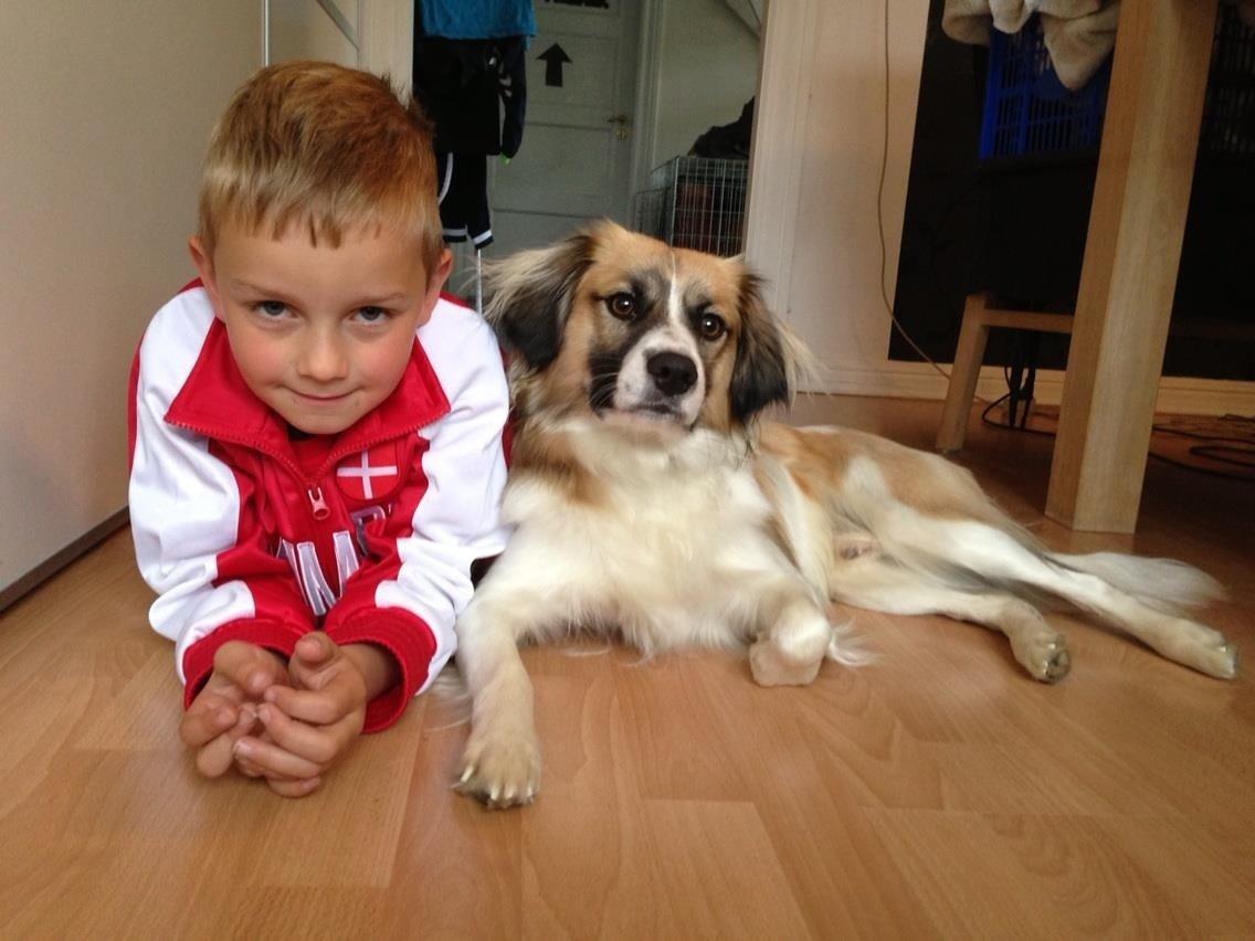 Blanding af racer Viktor billede 2