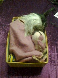 Chinese crested hårløs Karla billede 3