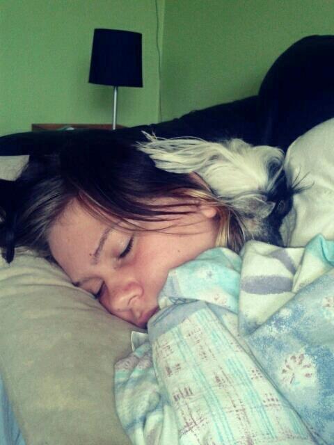 Chinese crested hårløs Karla billede 10