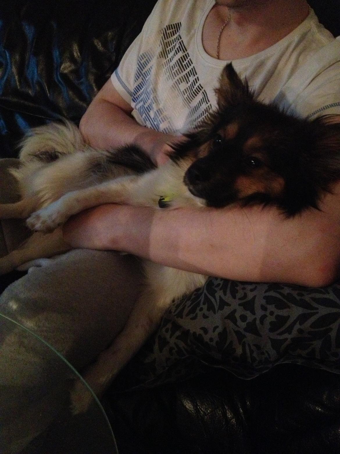 Blanding af racer Fie Caroline billede 16