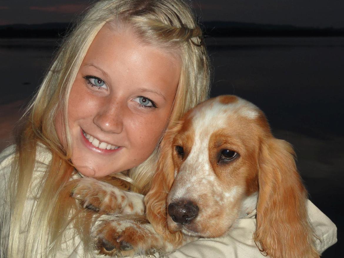 Cocker spaniel Harley - Min søster og Harley  billede 5