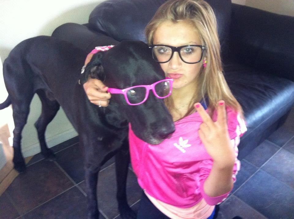 Grand danois Balder<3<3<3<3 billede 4