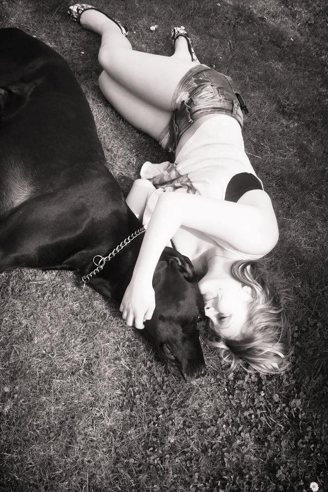 Grand danois Balder<3<3<3<3 billede 10