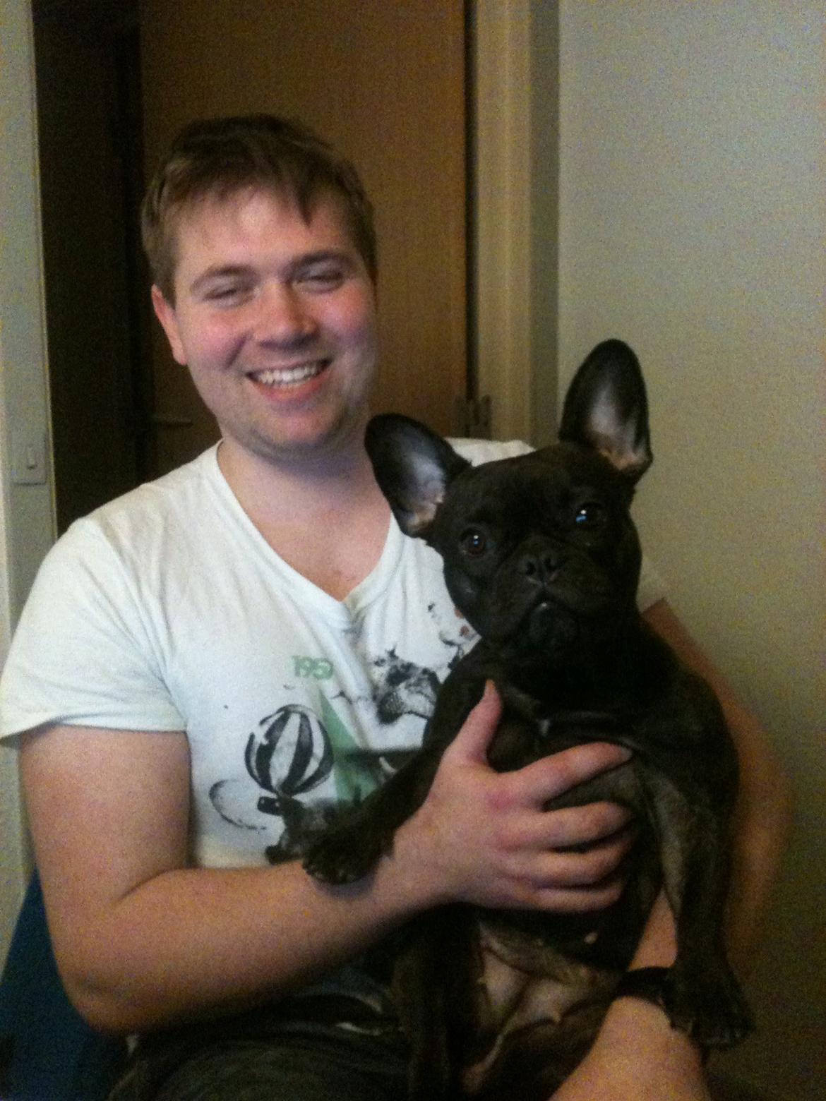 Fransk bulldog Nanna billede 24