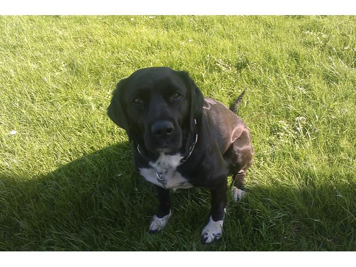 {{currentPhoto.altText}} billede {{currentPhoto.number}}