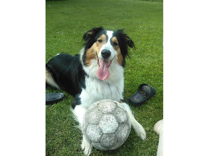 {{currentPhoto.altText}} billede {{currentPhoto.number}}