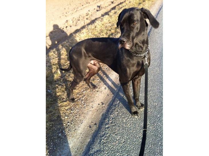 {{currentPhoto.altText}} billede {{currentPhoto.number}}