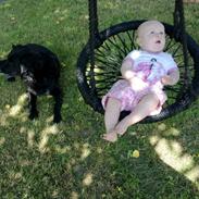 Blanding af racer Mowgli