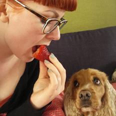 Cocker spaniel Bella (abeungen)