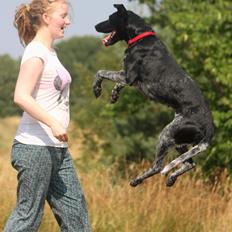 Blanding af racer Bella