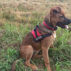 Blanding af racer Kaydee <3