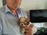 Shih tzu Bella - Sammen med far hos kennelen. ca. 6 uger 