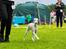 Whippet Kiwi - Juli 2013