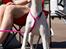 Whippet Kiwi - Juli 2013