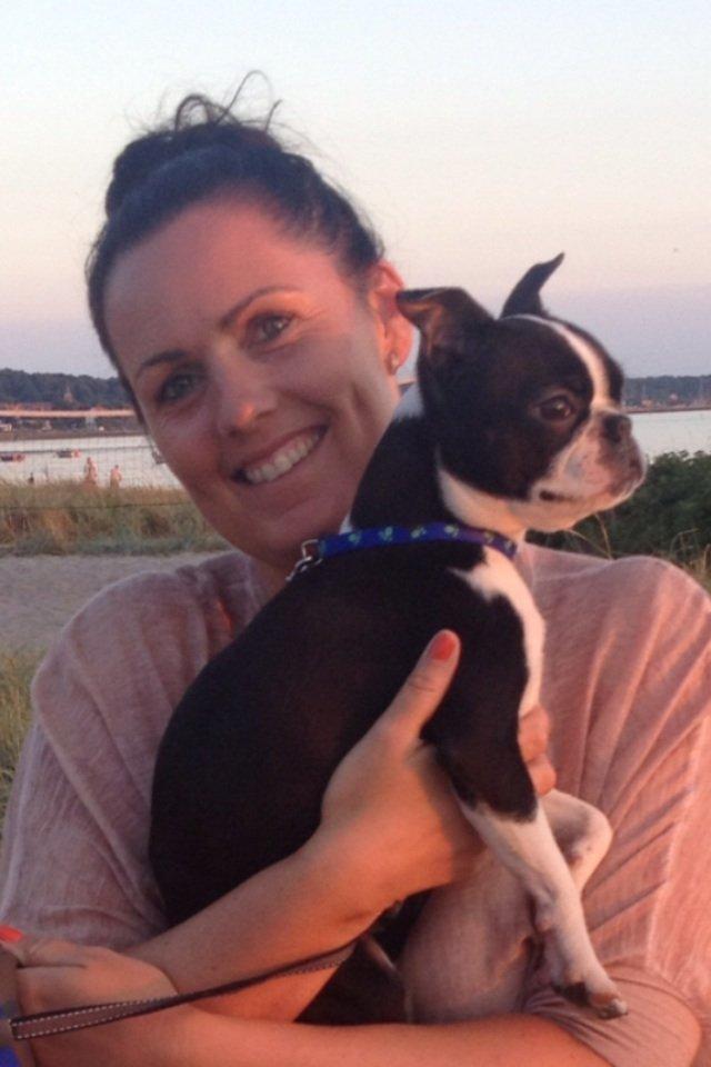 Boston terrier Buddie (Fyrhøj Giano) billede 4