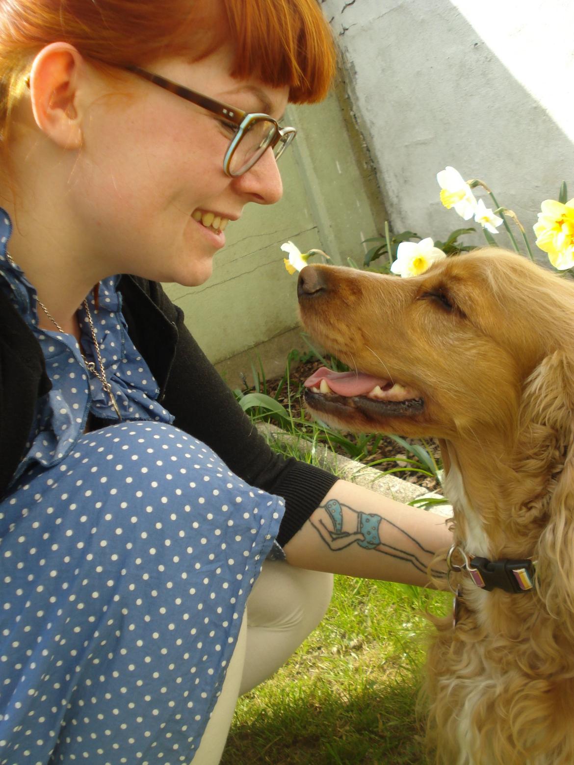 Cocker spaniel Bella (abeungen) - Sol og nus i haven er slet ikke skidt! billede 5