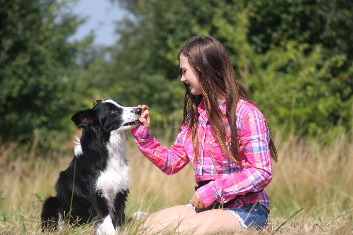 Border collie Celtic - Mig og min moster Dudie :) billede 3