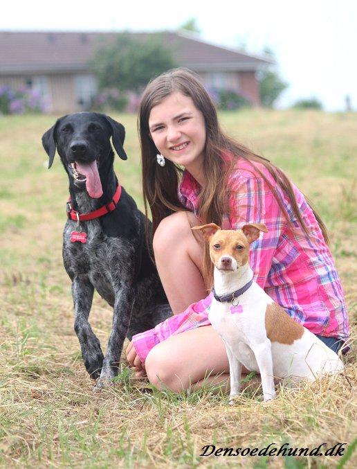 Blanding af racer Bella billede 4