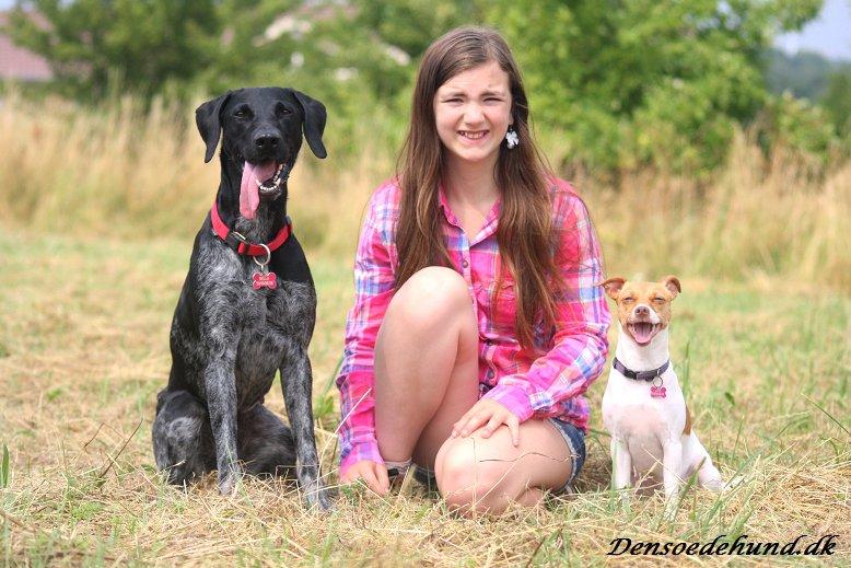 Blanding af racer Bella billede 7