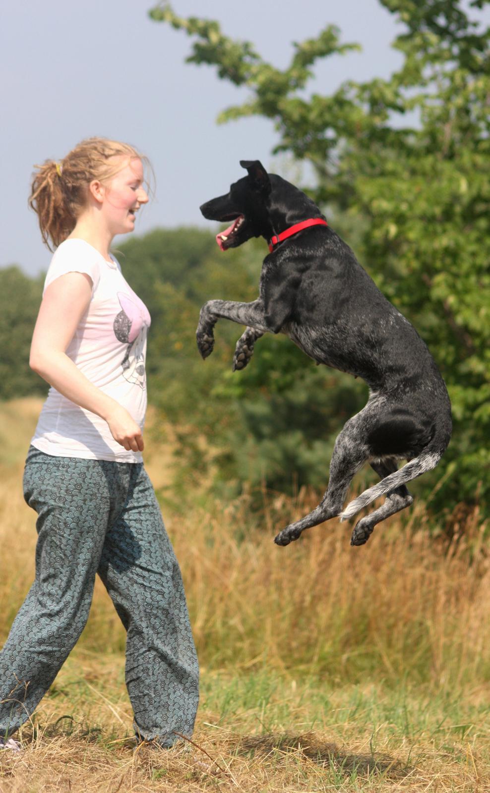 Blanding af racer Bella billede 2