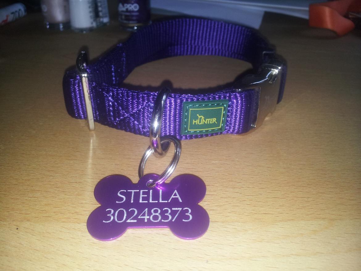 Rottweiler Stella - Mindi's Stella Af Aidt - mor og far glæder sig sådan til at jeg kommer, at de allerede har købt mit første halsbånd og hundetegn <3 billede 3