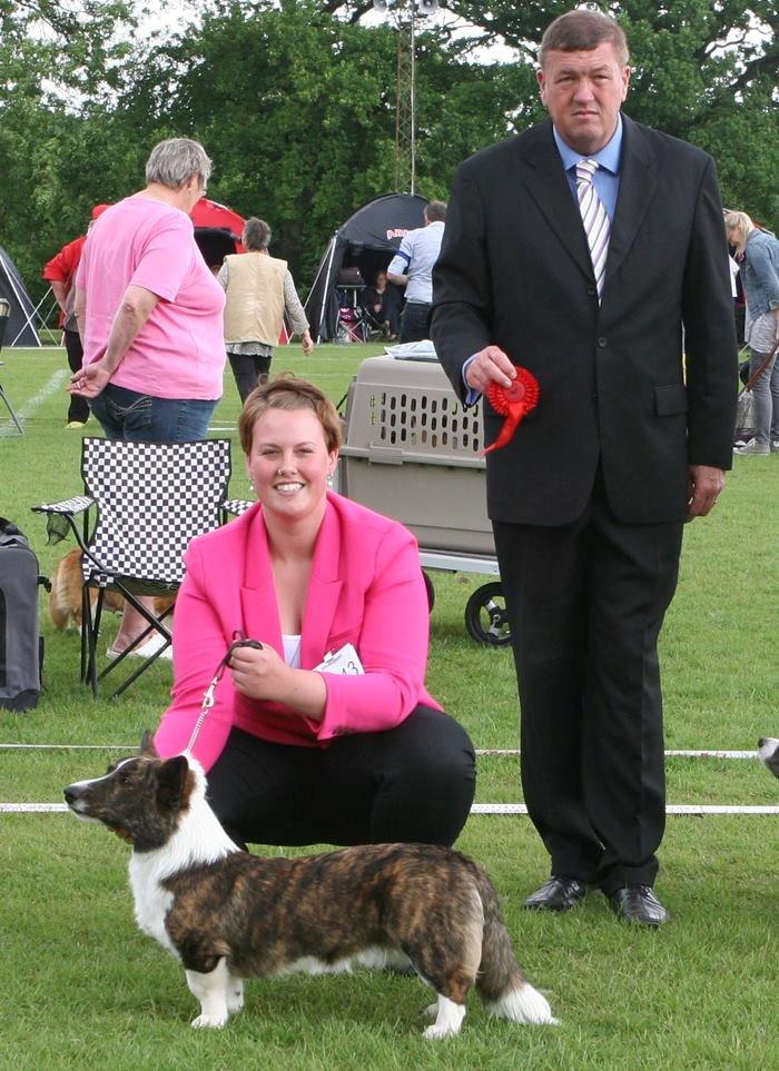 Welsh corgi cardigan Faarup Nixon - BIR hvalp d. 15 juni ved international DKK udstilling i Vejen. Dommer Saun Watson fra Cypern billede 21