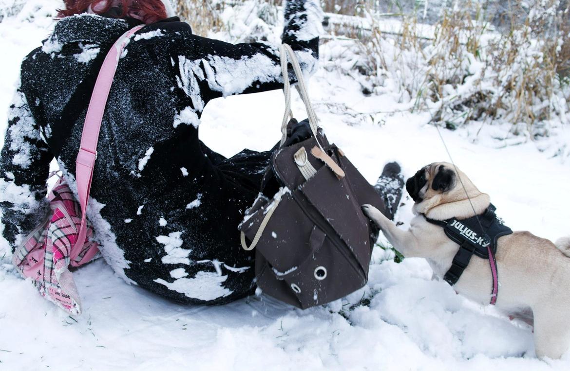 Mops Sally - Så fik jeg lige mor væltet i sneen  billede 26