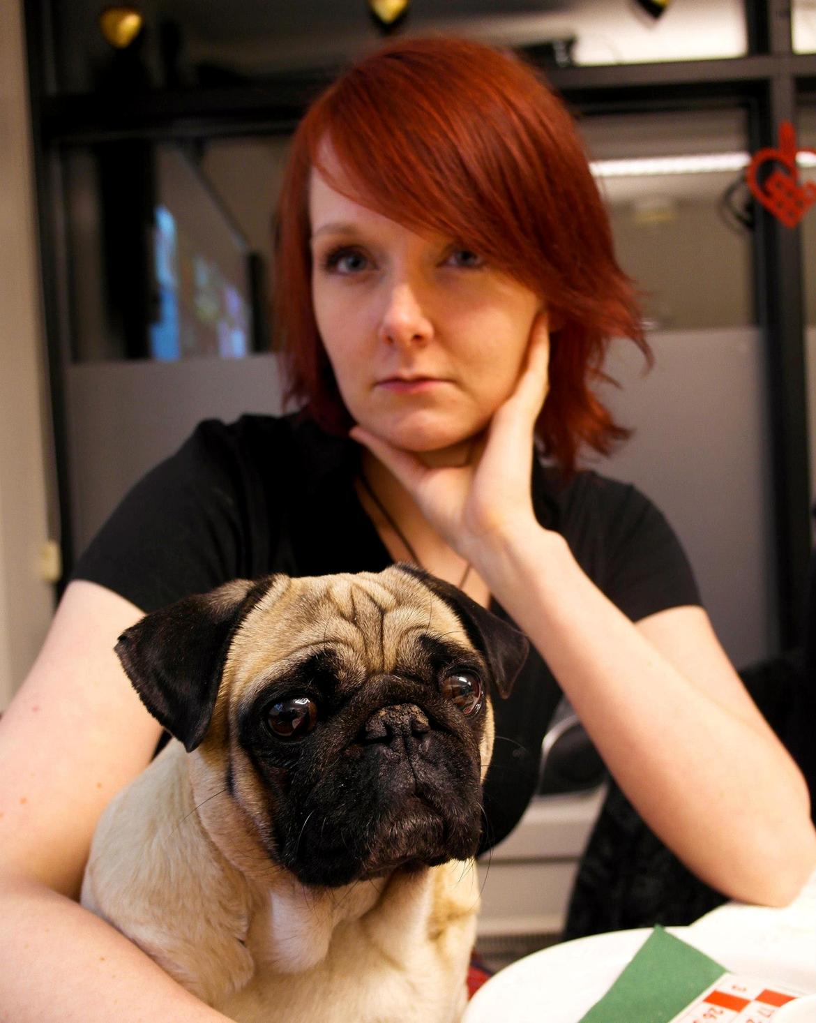 Mops Sally billede 28