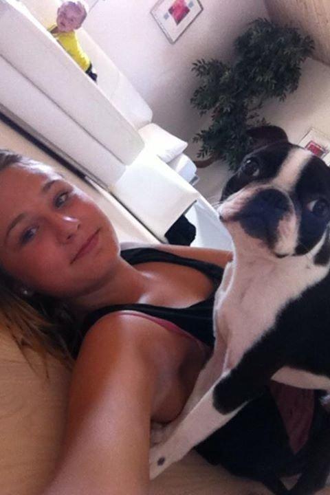 Boston terrier Buddie (Fyrhøj Giano) billede 17