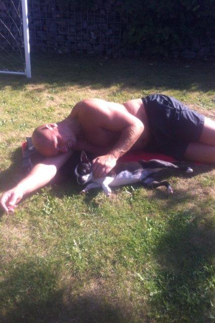 Boston terrier Buddie (Fyrhøj Giano) billede 18