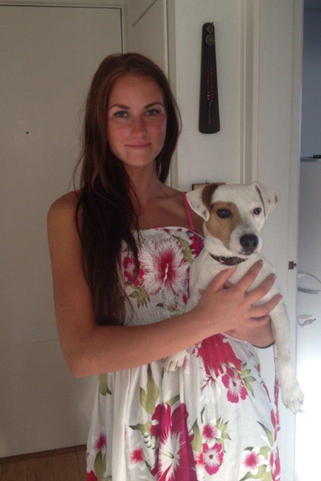 Jack russell terrier lille lindholds Laban billede 21