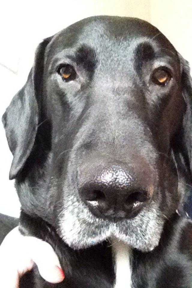 Blanding af racer Cody - SMIIIIIL! billede 11