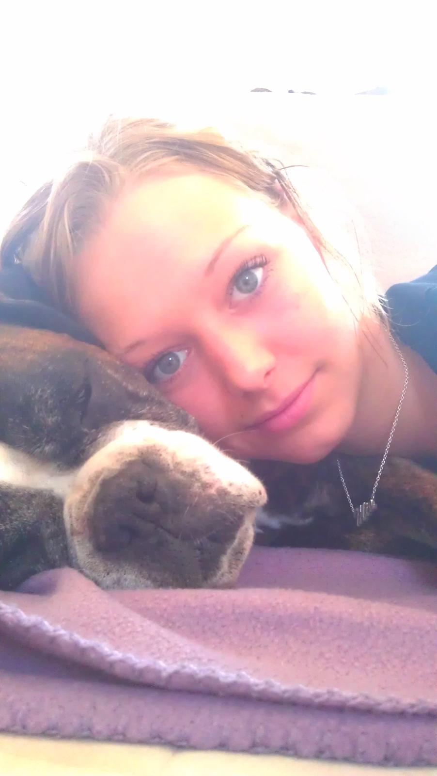 Boxer Skovhøjs Dino billede 5