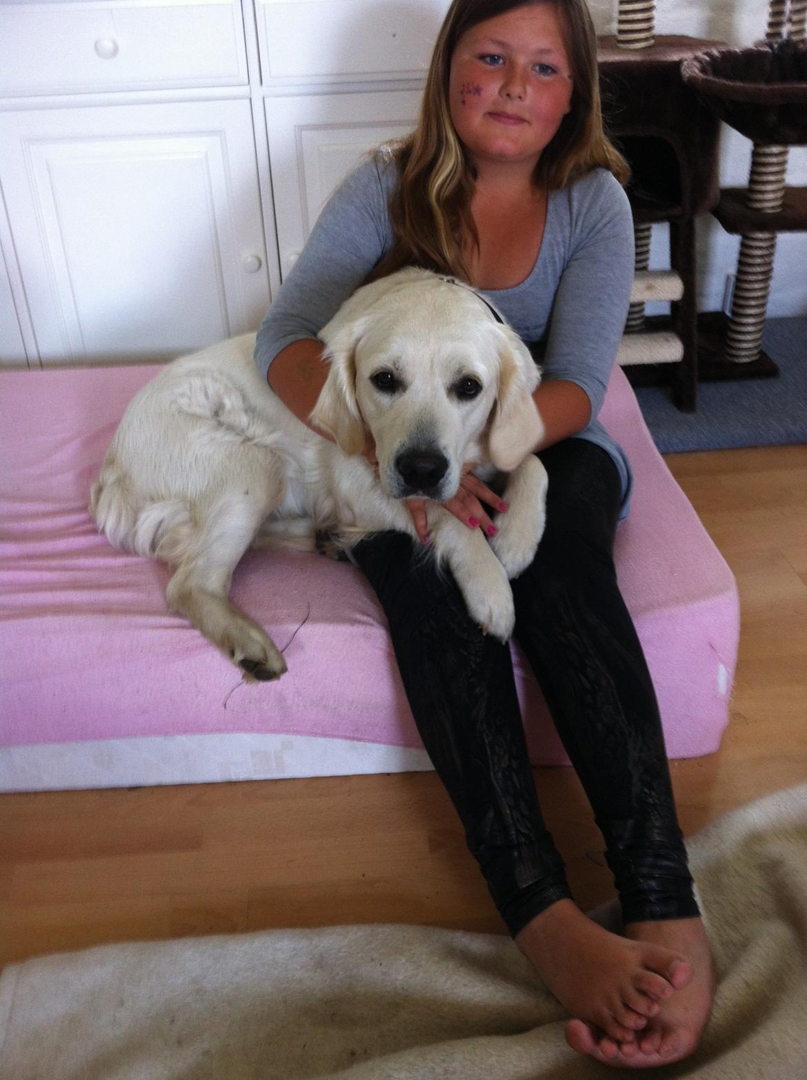 Golden retriever bailey - mig og min baby billede 8