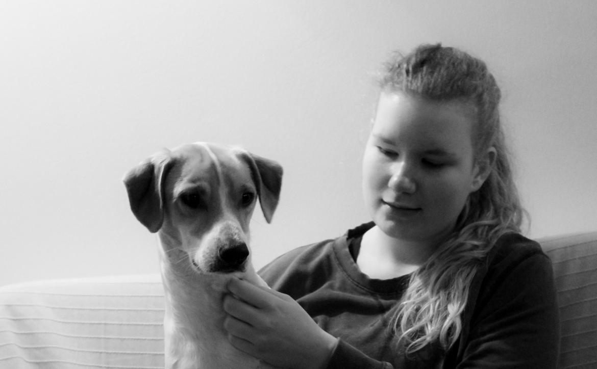 Blanding af racer Joey Moe billede 6