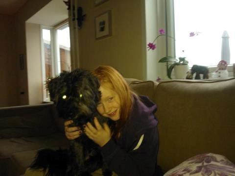 Blanding af racer Bølle billede 2