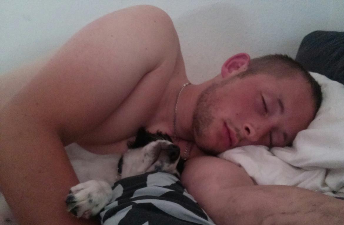 Blanding af racer Eddie Aka dynedyret billede 8