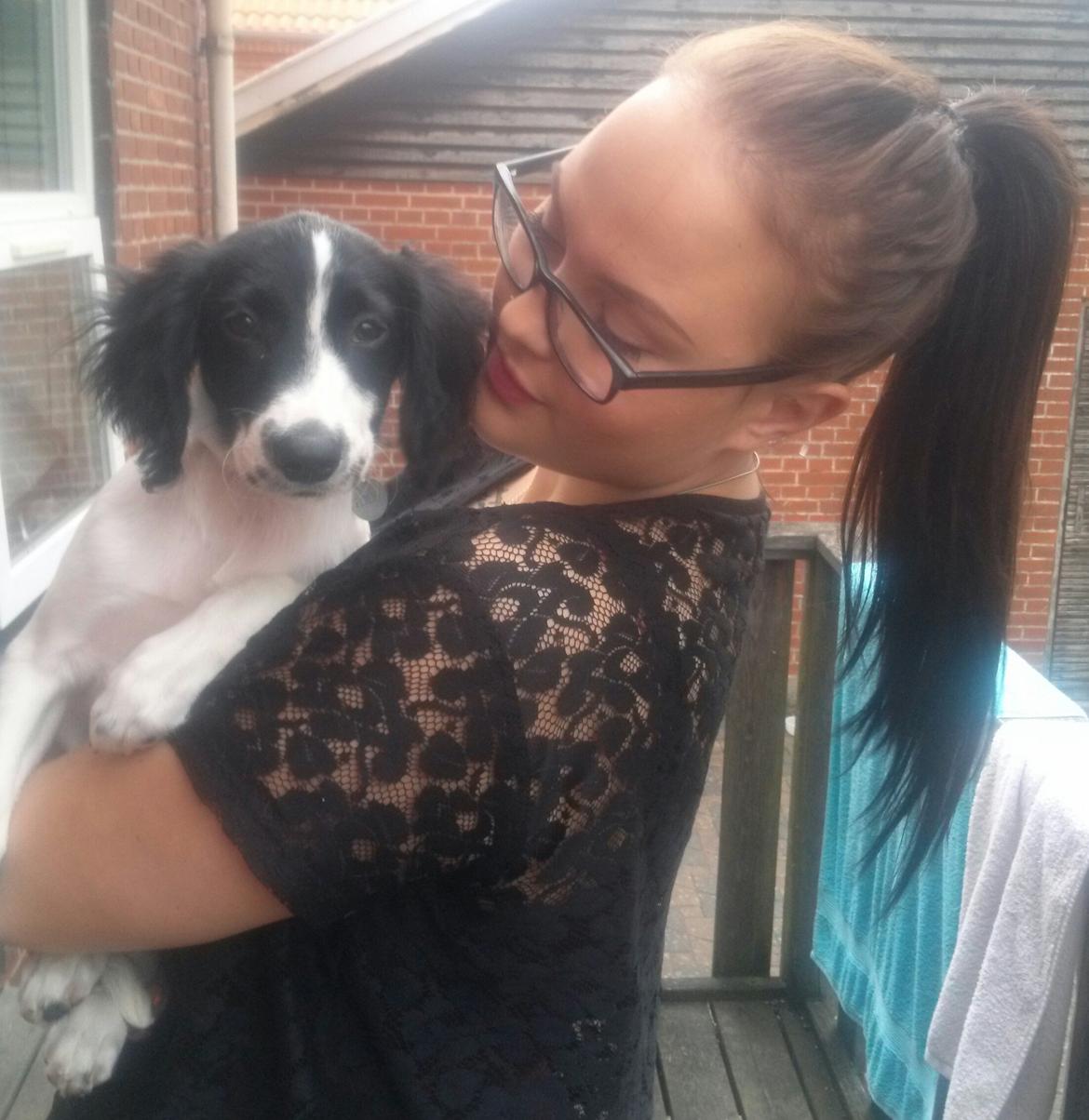 Blanding af racer Eddie Aka dynedyret billede 12