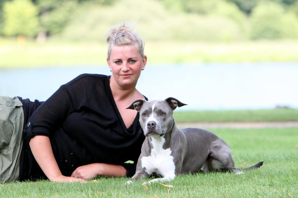 Amerikansk staffordshire terrier Lola - Taget af min veninde. billede 17