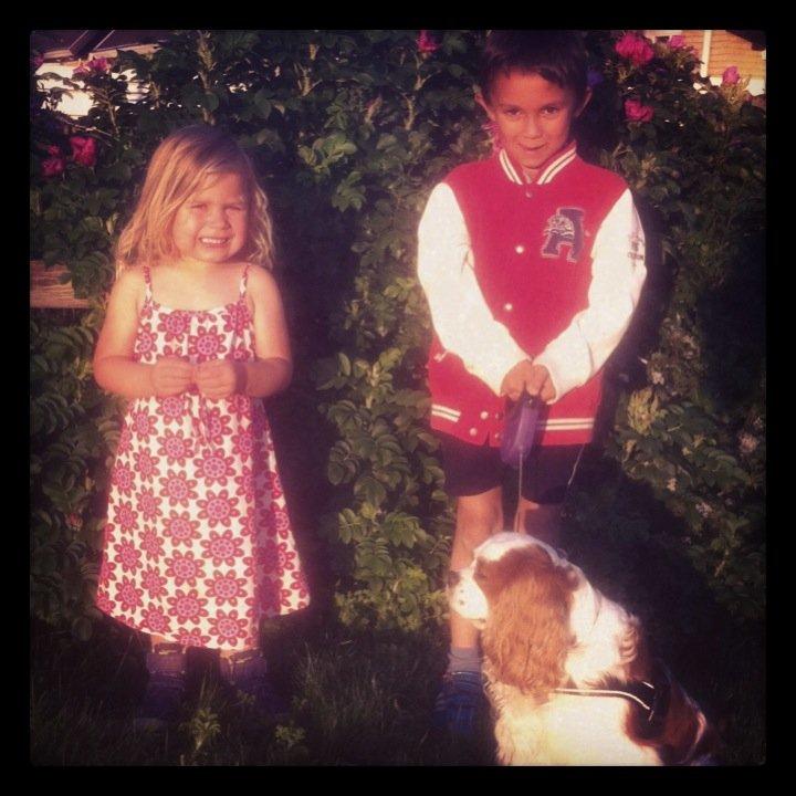 Cavalier king charles spaniel Cocio 2006-2016 billede 15